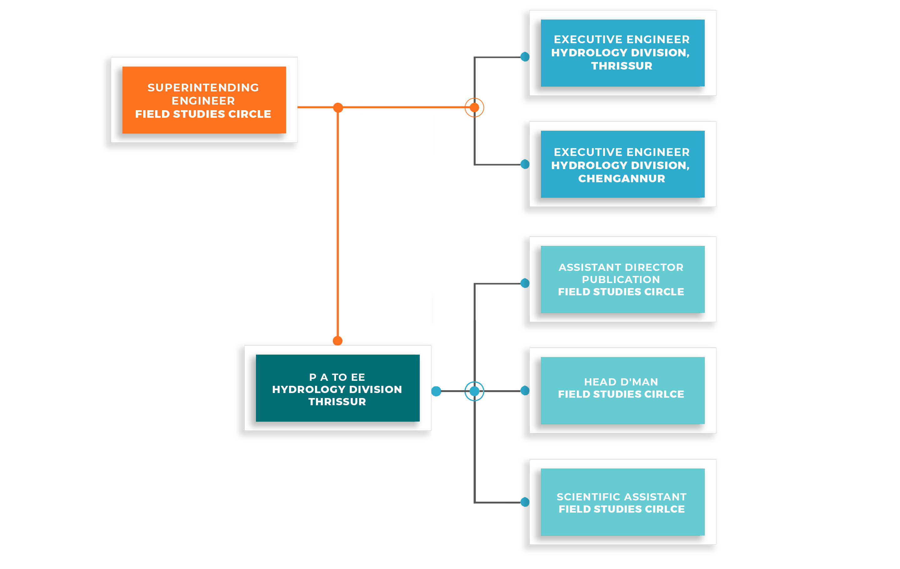 FSC Organogram